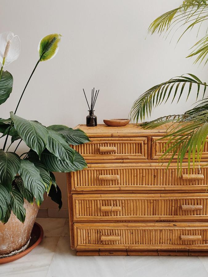 Cool Loft In The Old Town With Rooftop Terrace And Fireplace Tarifa Ngoại thất bức ảnh
